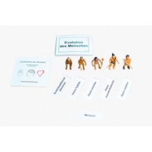 Evolution der Menschen (Forscherset)