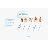 Evolution of Humans (Research Set)