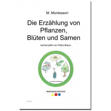 copy of Die große Erzählung von der Entwicklung des Menschen