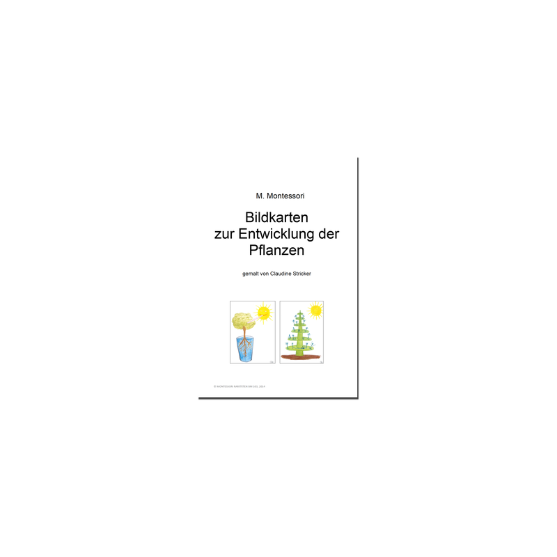 Picture cards for the development of plants
