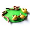 Life cycle of the earthworm - according to Petra Braun
