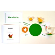 Life Cycle of a Chicken - according to Petra Braun