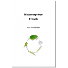 Forscherheft Metamorphose Frosch
