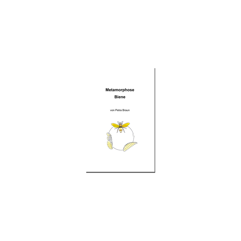 Research Notebook Metamorphosis Bee