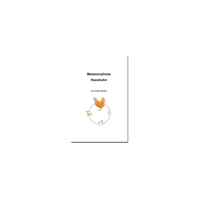 Research Notebook Metamorphosis Chicken