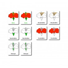 Blüte Aktivitäts Puzzle Basis