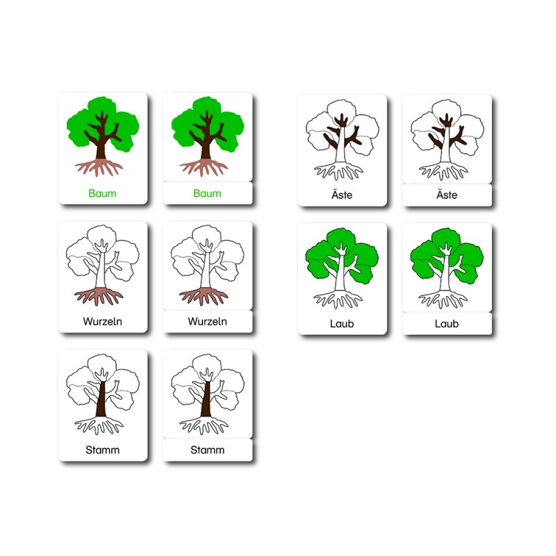 Baum - drei Teilekarten - Deutsch Baum - drei Teilekarten - Deutsch