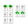 Baum - drei Teilekarten - Deutsch Baum - drei Teilekarten - Deutsch