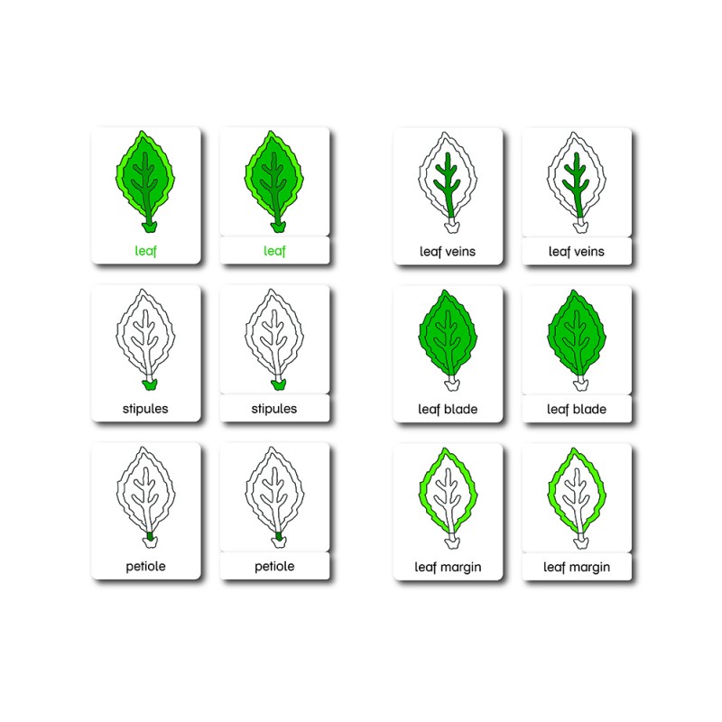 copy of Blüte Aktivitäts Puzzle Basis copy of Blüte Aktivitäts Puzzle Basis