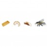 Insect set