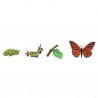 Insect set