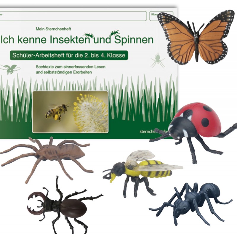Insekten Set Insekten Set
