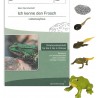 Lebenszyklus Frosch - Set Lebenszyklus Frosch - Set
