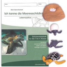 Lebenszyklus Meeresschildkröte