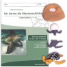 SET - Lebenszyklus Meeresschildkröte SET - Lebenszyklus Meeresschildkröte