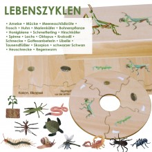 Zyklen  22  Stück großes Ausbildungsset