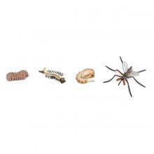 Lebenszyklen Set 21 Modelle