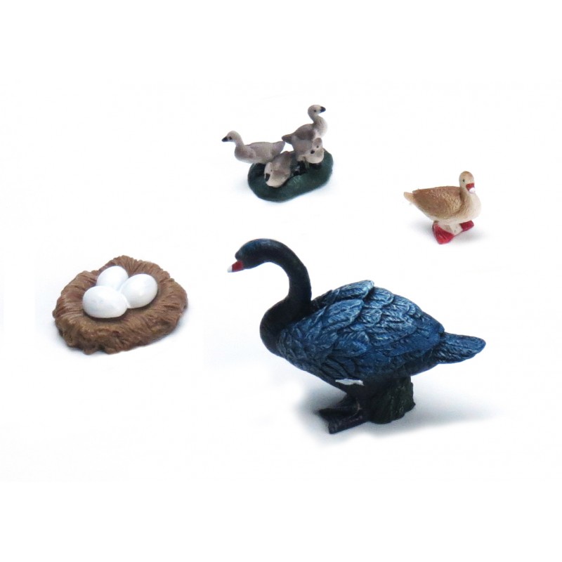 Lebenszyklen Set 21 Modelle