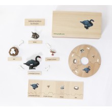 Zyklen 7 Stück kleines Ausbildungsset