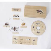 Zyklen 7 kusov malá vzdelávacia súprava