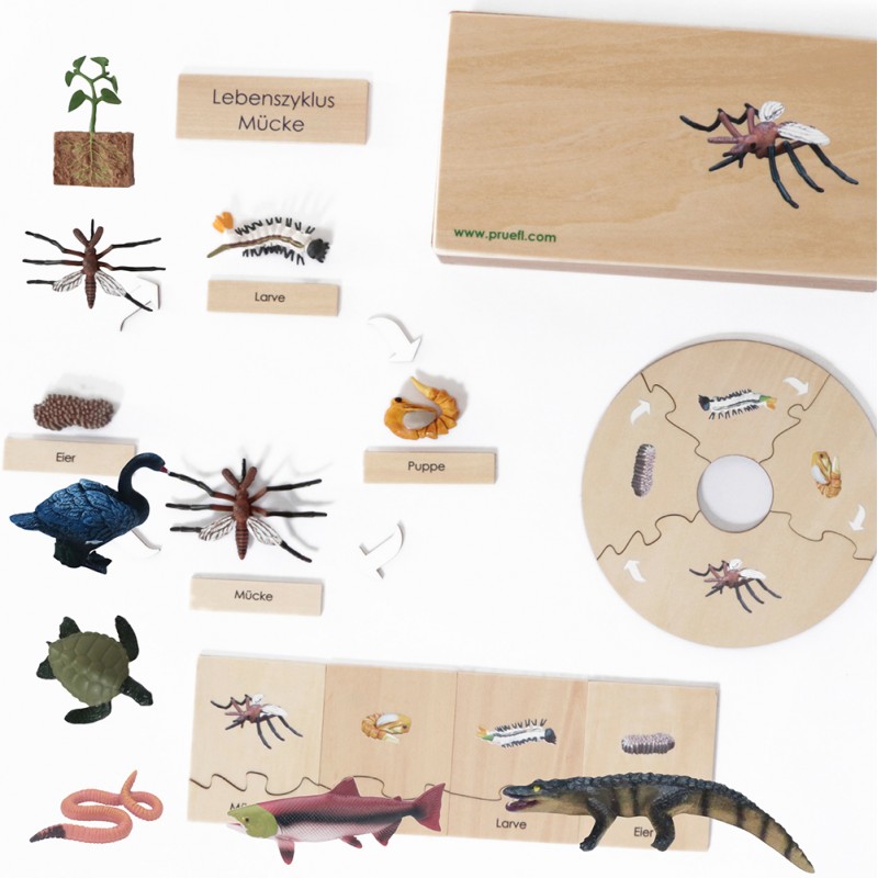 Zyklen 7 Stück kleines Ausbildungsset Zyklen 7 Stück kleines Ausbildungsset