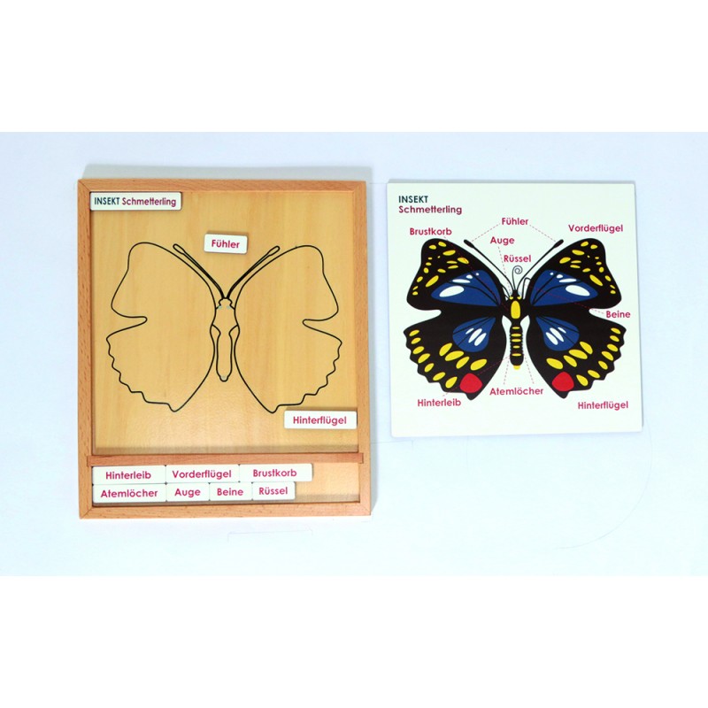 Aktivitätspuzzle Set Aktivitätspuzzle Set