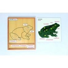 Aktivitätspuzzle Set