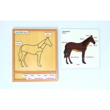 Aktivitätspuzzle Set Tiere