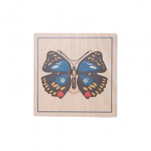 Aktivitätspuzzle Set