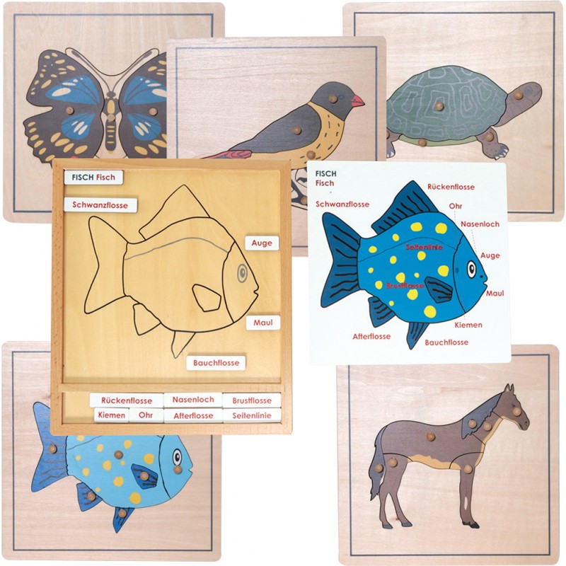 Aktivitätspuzzle Set Aktivitätspuzzle Set