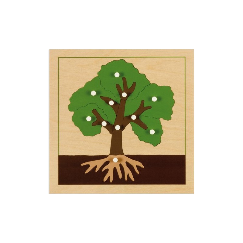 Activity puzzle set plants