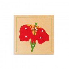 Activity puzzle set plants