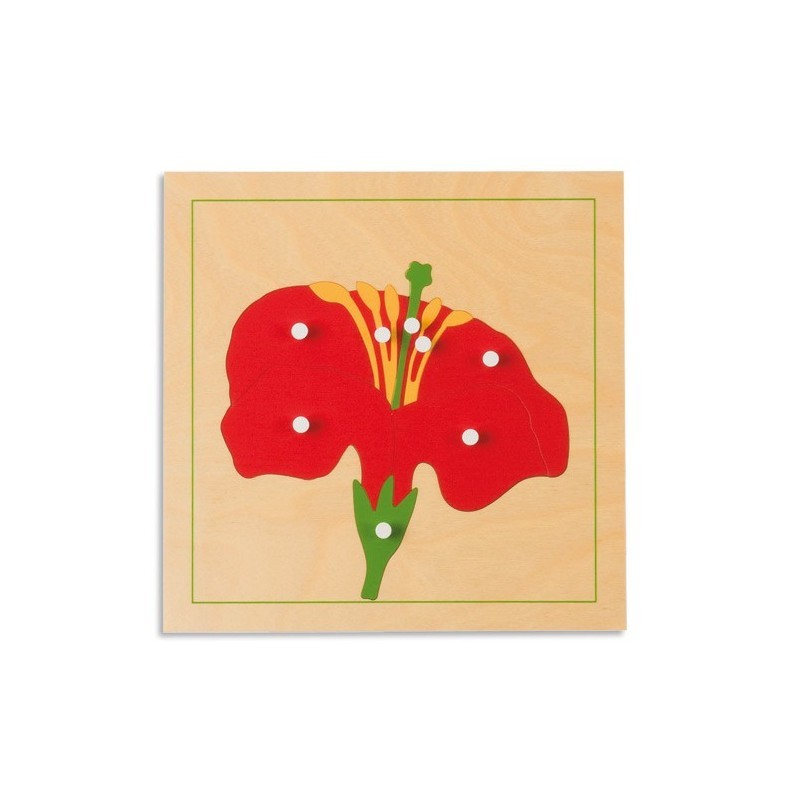Activity puzzle set plants