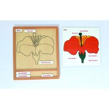 Activity puzzle set plants