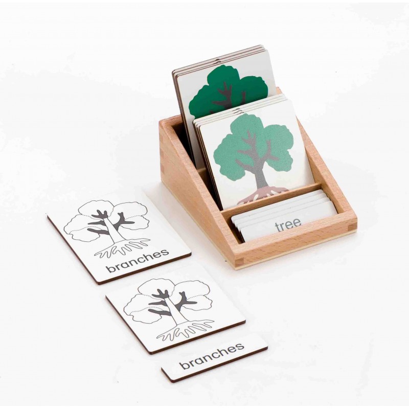 Klassifikationskarten Botanik Klassifikationskarten Botanik