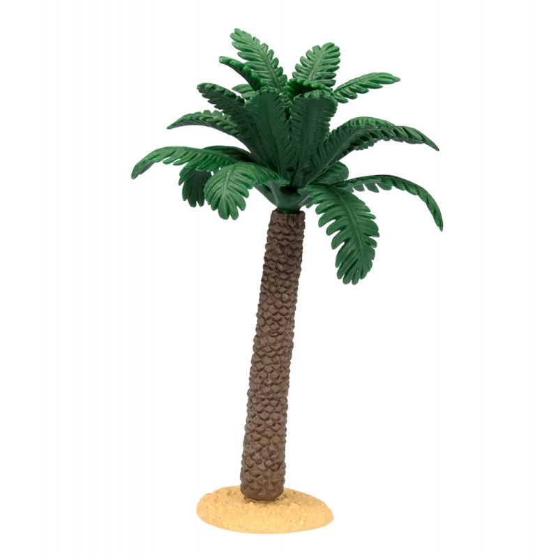 Palm