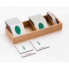 copy of Botanik - drei Teilekarten - Englisch