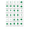 Botany - Classification Maps - German