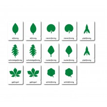 Botanik - Klassifikationskarten - Deutsch