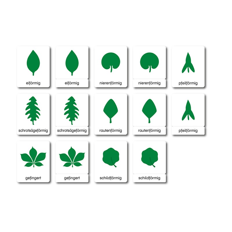 Botanik - Klassifikationskarten - Deutsch Botanik - Klassifikationskarten - Deutsch