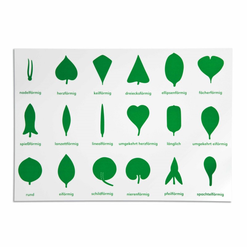 Botanische Kommode - Lernplakat