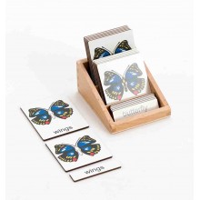 Schmetterling - Klassifikationskarten - Deutsch
