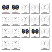 Butterfly - Classification Cards - German