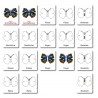 Butterfly - Classification Cards - German