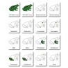 Frosch - Klassifikationskarten - Deutsch Frosch - Klassifikationskarten - Deutsch