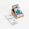 Fish - Classification Cards - English