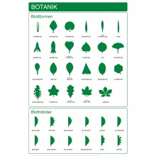 Botanik - Blattformen und Blattränder - Deutsch