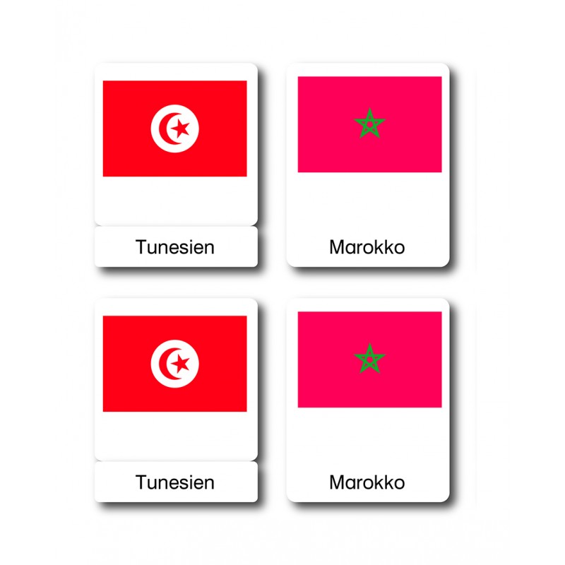 flags Afrika - 3 parts classification cards - English