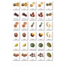 Obst - Klassifikationskarten - Deutsch Obst - Klassifikationskarten - Deutsch