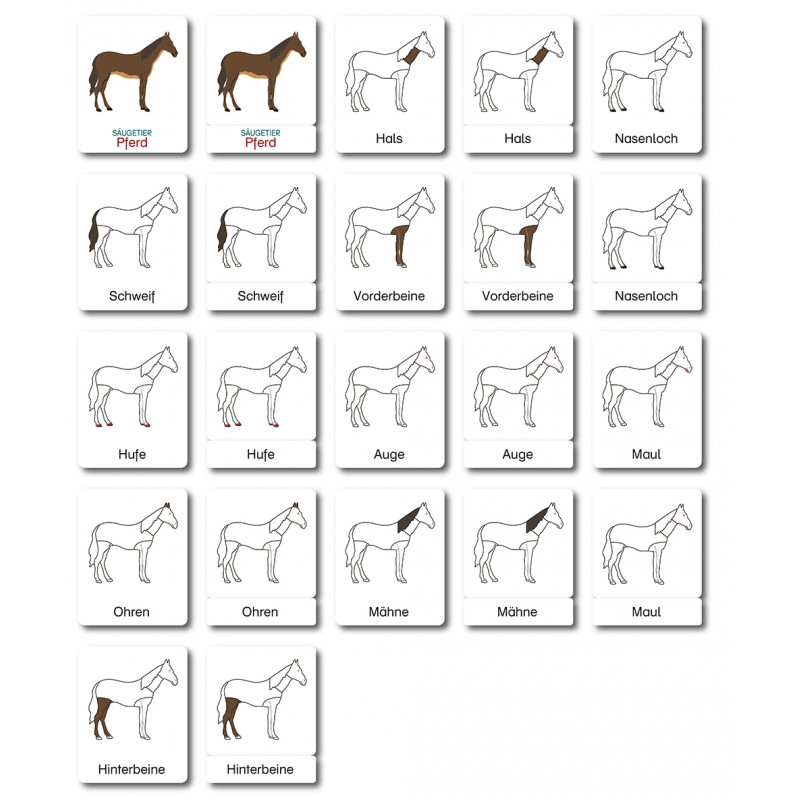 Pferd - Klassifikationskarten - Deutsch Pferd - Klassifikationskarten - Deutsch